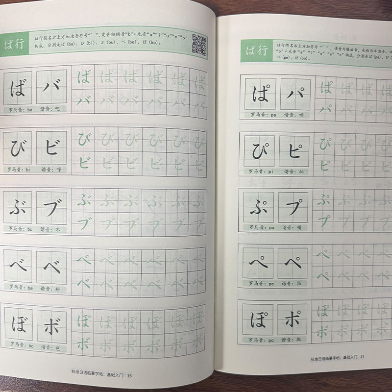 Japanese Hiragana & Katakana P - Chinese Calligraphy Practice Book recension och pris