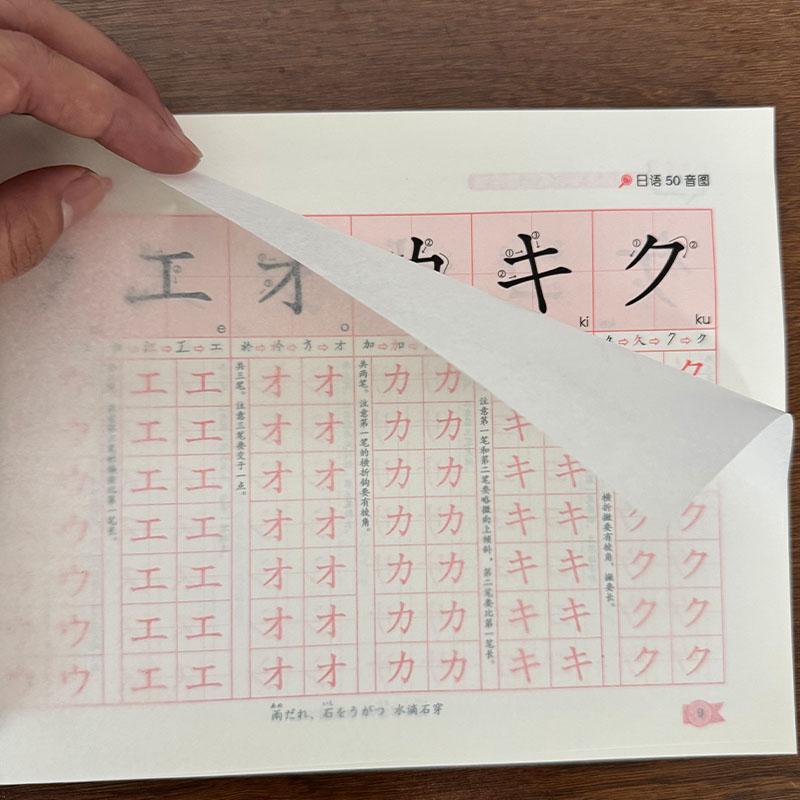 Zero Beginner Japanese Hiragan - Chinese Calligraphy Practice Book recension och pris